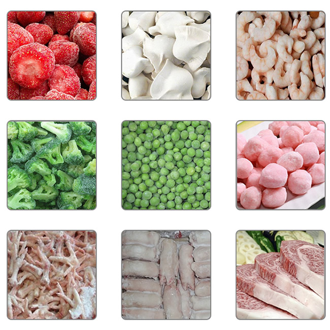 IQF Seafood frozen machine